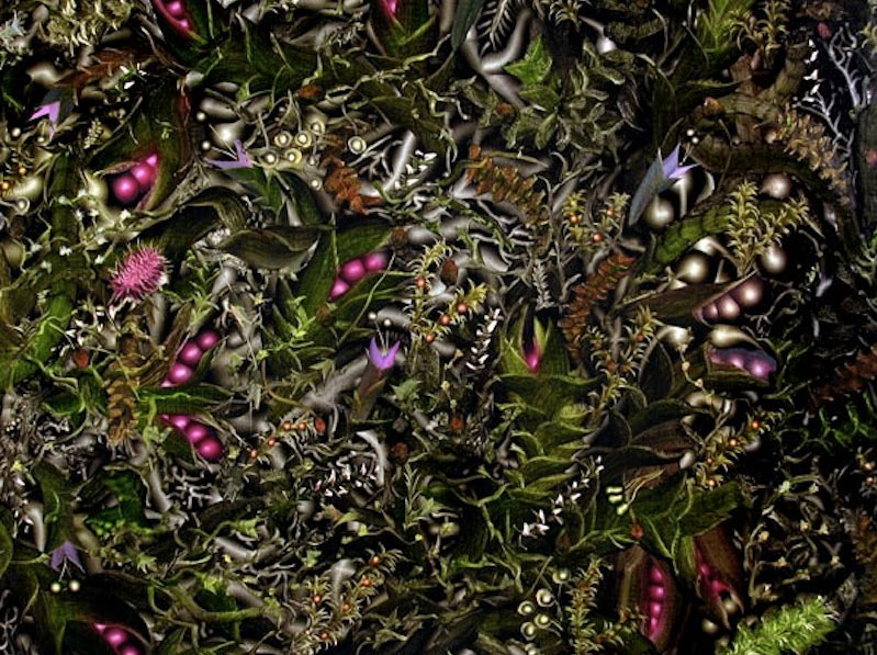 6)Lauren-Kelly,Funiculus-Umbilicalis-and-Anchored-Specimens,--Fabric-2014-Photo.png