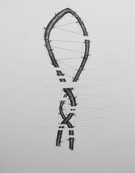 6)Lauren-Kelly,Funiculus-Umbilicalis-and-Anchored-Specimens,--Fabric-2014-Photo.png